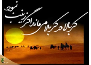 ۱۵ رجب سالگرد رحلت پیام آور کربلا ؛

علت وفات حضرت زینب (س) چه بود؟ 3