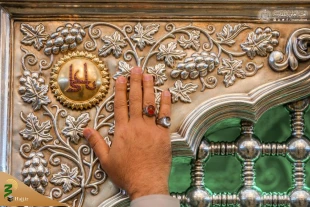 حال و هوای حرم امیرالمؤمنین (ع) در سالروز ولادت آن حضرت +عکس 9
