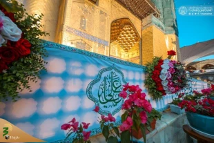 حال و هوای حرم امیرالمؤمنین (ع) در سالروز ولادت آن حضرت +عکس 11