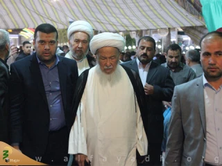 آیت الله فیاض برای ادامه فعالیت علمی به نجف اشرف بازگشت