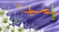 تولد امام حسین (ع) 2