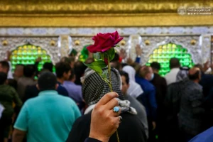  حضور دلشیفتگان اهل بیت (ع) در پیشگاه امیر المومنین (ع) 