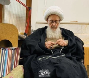 آیت الله العظمی وحید خراسانی:

نیمه شعبان را احیا کنید