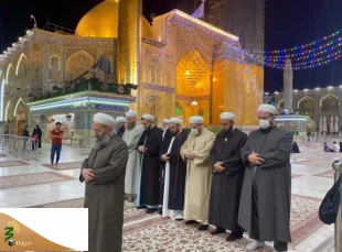 تشرف علمای اهل سنت ترکیه به حرم حسینی+عکس
 2