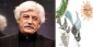 سیدمهدی شجاعی، کتاب جدیدی برای مخاطبان کودک منتشر کرد
 2