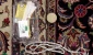  اجرای سنت «افطاری ساده» در جوار امام هشتم 2