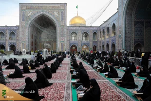 ترتیل خوانی قرآن کریم در حرم مطهر رضوی/ عکس
 4