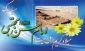 ولادت امام حسن مجتبی (ع) مبارک 2