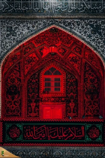 مراسم احیای شب نوزدهم در حرم مطهر امیرالمومنین علی (ع) 8