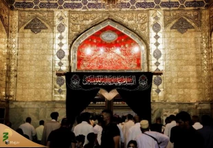 لیلة القدر و شب شهادت مولی الموحدین در نجف اشرف 2