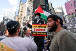 تظاهرات جهانی در حمایت از مردم مظلوم فلسطین+عکس 13