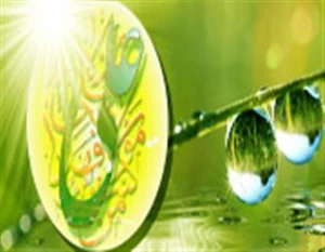 ده شاخصه انتخاب اصلح در کلام امیرالمؤمنین علی (علیه السلام)