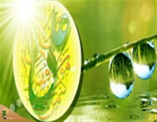 ده شاخصه انتخاب اصلح در کلام امیرالمؤمنین علی (علیه السلام)