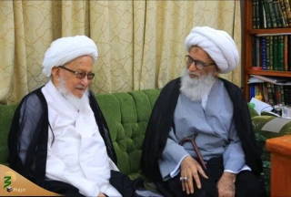 دیدار آیت‌الله‌العظمی نجفی با آیت ‌الله‌العظمی فیاض  