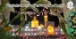 قرائت همگانی صلوات خاصه امام رضا(ع) در شب میلاد امام رئوف 2