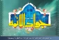 تشریح فعالیت‌های امام جواد (ع) در ایام حج
 2