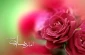 میلاد امام هادی(ع) و جلوه‌های غدیر 2