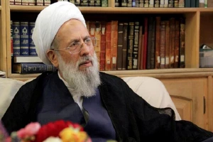 نشست صمیمی مسئولان حج و زیارت با آیت‌الله ری شهری
