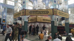 عزاداری زائران در حرم حضرت زینب(س)
 3