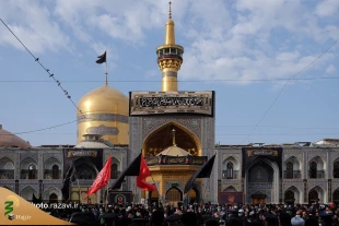 سوگواری مشهدالرضا(ع) در غم شهادت غریب‌الغربا 2