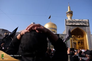 سوگواری مشهدالرضا(ع) در غم شهادت غریب‌الغربا 5