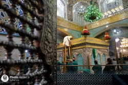 آیین تعویض پوش ضریح مطهر رضوی همزمان با سوم ربیع الاول
 18