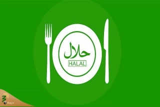 برگزاری نمایشگاه حلال در استانبول؛ افزایش حجم تجارت با گواهی حلال
