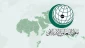 درخواست سازمان همکاری اسلامی برای تحقیق درباره تیرباران نوجوان فلسطینی 2