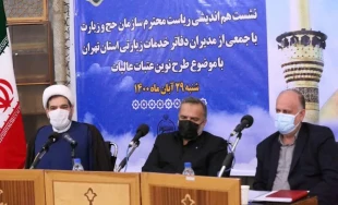 رئیس سازمان حج و زیارت خبر داد :

ریل گذاری جدید در اعزام زائران به عتبات عالیات/نقش کارگزاران پر رنگ تر می شود 5