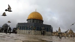 راه‌اندازی طرح سفیران قدس در کویت 2