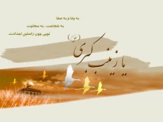 میلاد حضرت زینب (س) مبارک باد 4