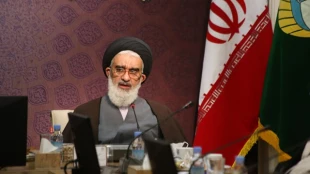 نماینده ولی فقیه در امور حج و زیارت تبیین کرد؛

کارکردهای اماکن زیارتی 11