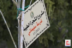 کاشت ۱۲ هزار اصله نهال به نام شهید سلیمانی در جنوب لبنان 2