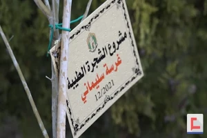 کاشت ۱۲ هزار اصله نهال به نام شهید سلیمانی در جنوب لبنان