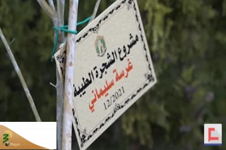 کاشت ۱۲ هزار اصله نهال به نام شهید سلیمانی در جنوب لبنان