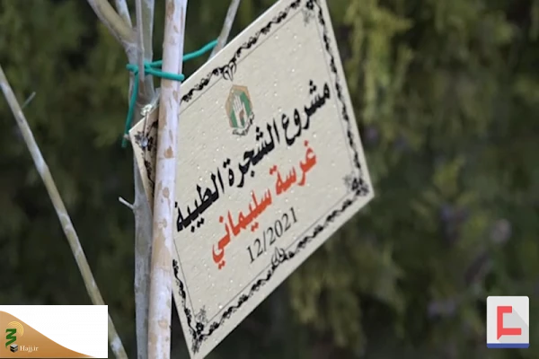 کاشت ۱۲ هزار اصله نهال به نام شهید سلیمانی در جنوب لبنان 2