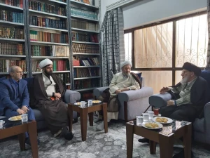 دیدار مسئول بعثه مقام معظم رهبری در عراق با آیت الله قزوینی