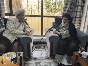 دیدار مسئول بعثه مقام معظم رهبری در عراق با آیت الله قزوینی 3