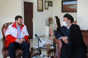 Review providing medical services to pilgrims on pilgrimages trips to hajj and holy shrines