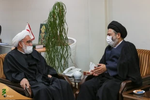 Review providing medical services to pilgrims on pilgrimages trips to hajj and holy shrines 4