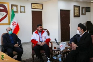 Review providing medical services to pilgrims on pilgrimages trips to hajj and holy shrines 6