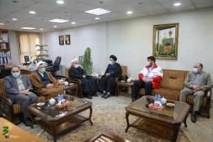 Review providing medical services to pilgrims on pilgrimages trips to hajj and holy shrines 10