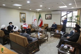 Review providing medical services to pilgrims on pilgrimages trips to hajj and holy shrines 11