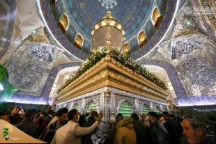 به مناسبت میلاد حضرت زهرا (سلام الله علیها) ضریح مطهر امیرالمومنین (علیه السلام) مزین به گلاب و گل طبیعی شد. 3