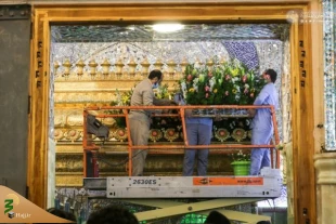 به مناسبت میلاد حضرت زهرا (سلام الله علیها) ضریح مطهر امیرالمومنین (علیه السلام) مزین به گلاب و گل طبیعی شد. 4