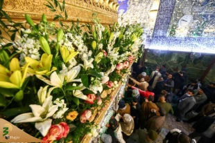 به مناسبت میلاد حضرت زهرا (سلام الله علیها) ضریح مطهر امیرالمومنین (علیه السلام) مزین به گلاب و گل طبیعی شد. 6