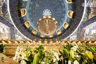 به مناسبت میلاد حضرت زهرا (سلام الله علیها) ضریح مطهر امیرالمومنین (علیه السلام) مزین به گلاب و گل طبیعی شد. 7
