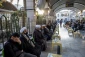 مجلس بزرگداشت آیت‌الله صافی گلپایگانی در کربلا برگزار شد+گزارش تصویری 15