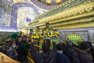 آذین بندی و گل آرایی حرم حضرت علی (ع) همزمان با میلاد آن حضرت 3