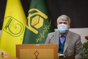 آسیب شناسی طرح نوین اعزام زائران به عتبات عالیات 6